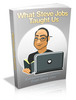 Thumbnail What Steve Jobs Taught Us plr