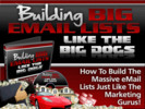 Thumbnail Building Big Email Lists Like the Big Dogs - Video Serie plr