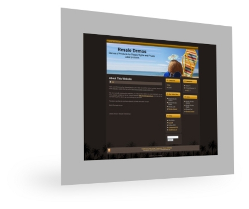 Product picture Sandals Wordpress Theme plr