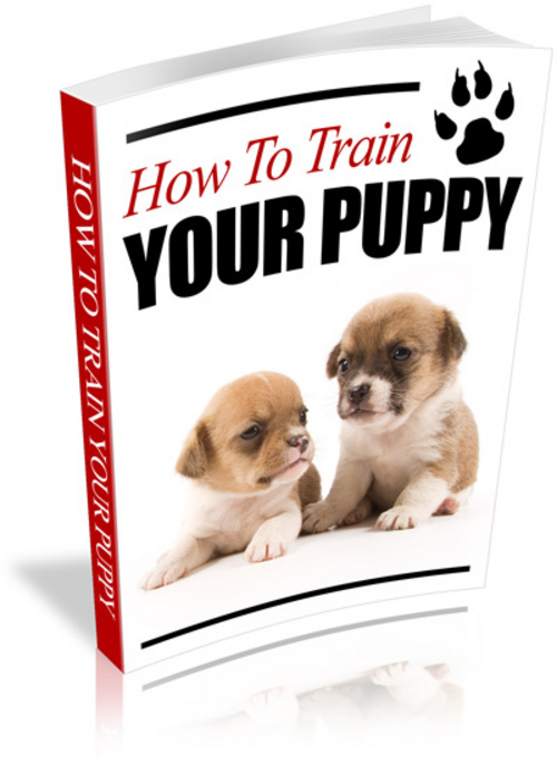 Product picture How to Train Your Puppy (PLR)