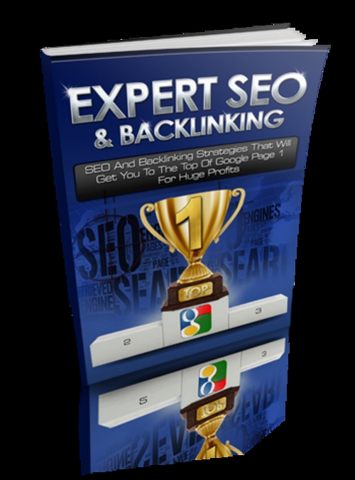 Product picture Expert SEO and Back Linking plr