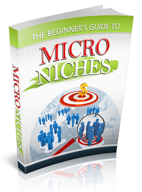 Product picture Beginners Guide to Micro Niches plr