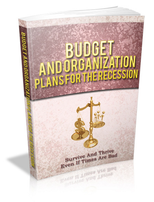 Product picture Budget and Organization Plans for the Recession plr