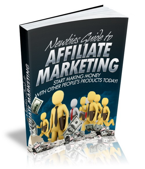Product picture Newbies Guide to Affiliate Marketing plr