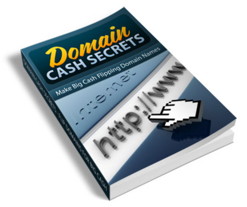 Product picture Domain Cash Secrets (PLR)