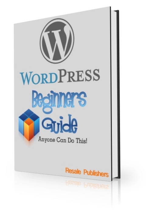 Product picture Wordpress Beginners Guide (PLR)