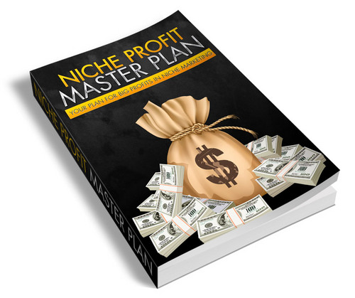 Product picture Niche Profits Master Plan (PLR) 