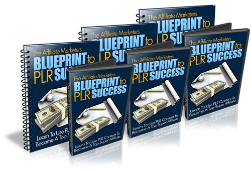 Product picture Affiliate Marketers Blueprint to PLR Success - Video PLR