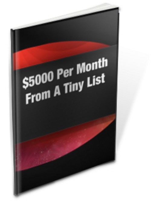 Product picture $5000 Per Month From a Tiny List (PLR)
