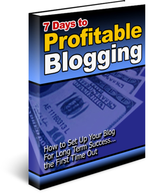 Product picture 7 Days to Profitable Blogging (PLR)