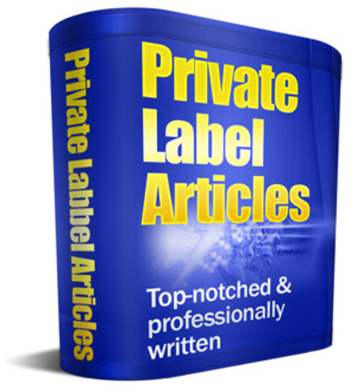 Product picture 25 3G Articles (PLR)