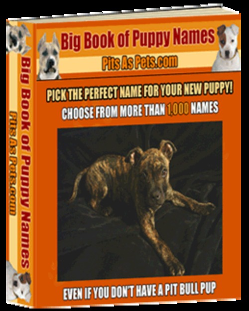 Product picture Big Book of Puppy Names