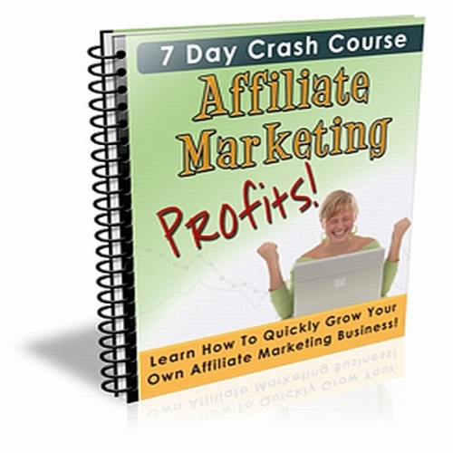 Product picture Affiliate Marketing Profit With Plr
