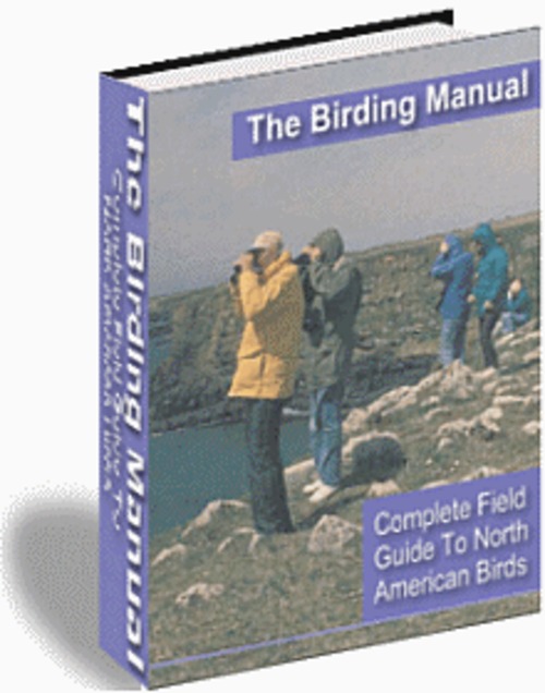 Product picture Birding for Everyone (PLR)