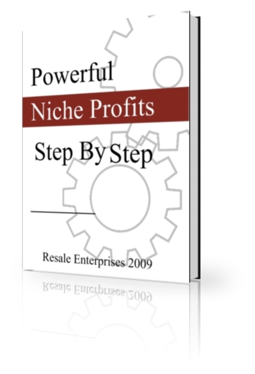 Product picture Powerful Niche Profits - Step by Step (PLR)