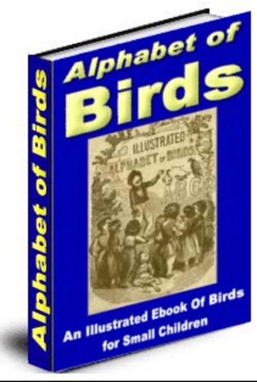 Product picture Alphabet of Birds (PLR)